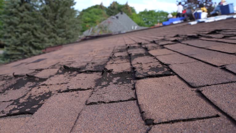 Best Roof Ventilation Installation  in Berry College, GA